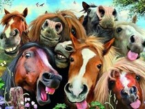 Jeu Puzzle Casse-tête en ligne Animaux ferme Chevaux Selfie