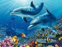 Jeu Puzzle Casse-tête en ligne Animaux marins Dauphins Fonds marins