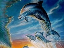 Jeu Puzzle Casse-tête en ligne Animaux marins Dauphins Jeu Vagues