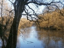 Jeu Puzzle Casse-tête en ligne Paysages Rivière Sèvre France