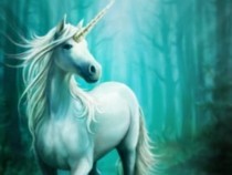 Jeu Puzzle Casse-tête en ligne Animaux légendaires mythiques fantastiques Licorne Unicorne