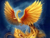 Jeu Puzzle Casse-tête en ligne Animaux légendaires mythiques fantastiques Phénix Oiseau de feu