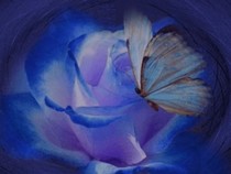 Jeu Puzzle Casse-tête en ligne Fleurs Nature Rose Papillon bleu