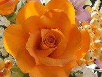 Jeu Puzzle Casse-tête en ligne Fleurs Nature Roses orange