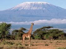 Jeu Puzzle Casse-tête en ligne Paysages Montagnes Kilimandjaro Tanzanie