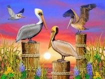 Jeu Puzzle Casse-tête en ligne Animaux Oiseaux Tableau Pélicans