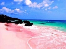 Jeu Puzzle Casse-tête en ligne Paysages Plages Pink Sands Beach Harbour Island Bahamas