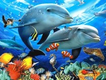 Jeu Puzzle Casse-tête en ligne Animaux Mer Poissons Dauphins