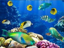 Jeu Puzzle Casse-tête en ligne Animaux Mer Poissons tropicaux Récif