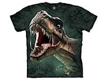 Tee-shirts avec des dinosaures : t-rex, tricératops, brachiosaures...