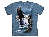Tee-shirts avec des oiseaux et rapaces