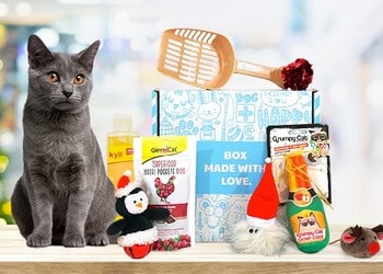 Miaoubox : la box (boîte-cadeau) pour chats