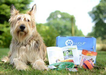 Woufbox : la box (boîte-cadeau) pour chiens