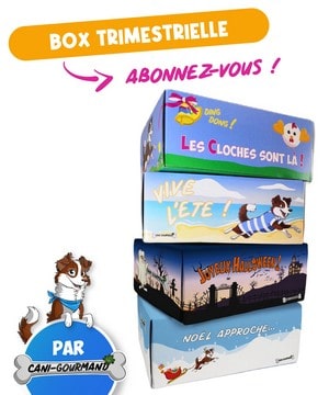 Cani-gourmand : une box à chaque saison pour votre chien