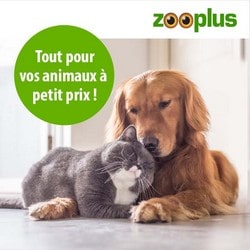 L'animalerie pour tous les animaux à petits prix : chiens, chats, nac, chevaux, poissons, oiseaux... c'est Zooplus